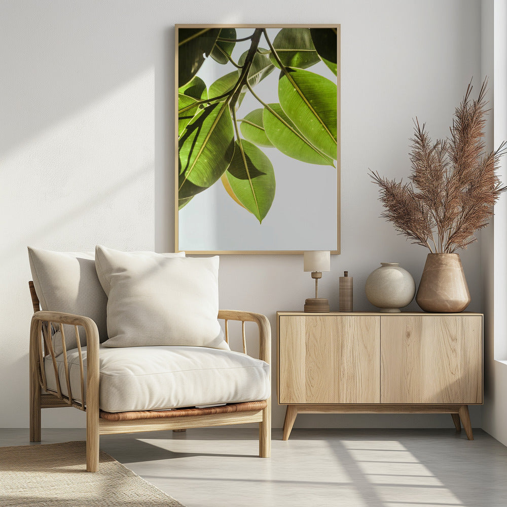 Sunlit Leaves | Poster