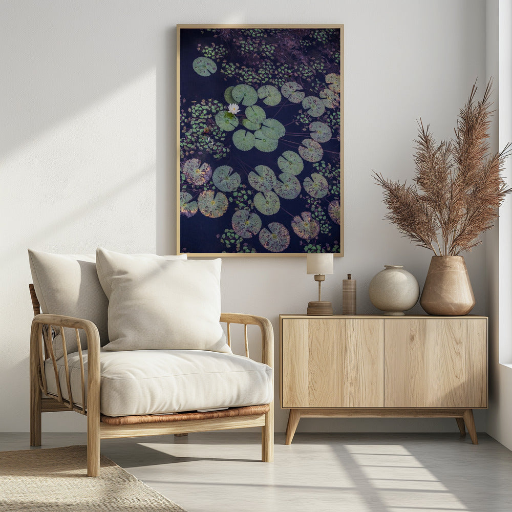 Lily Serenity | Poster