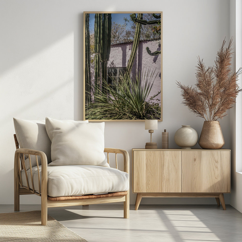 Cactus & Pink Wall | Poster