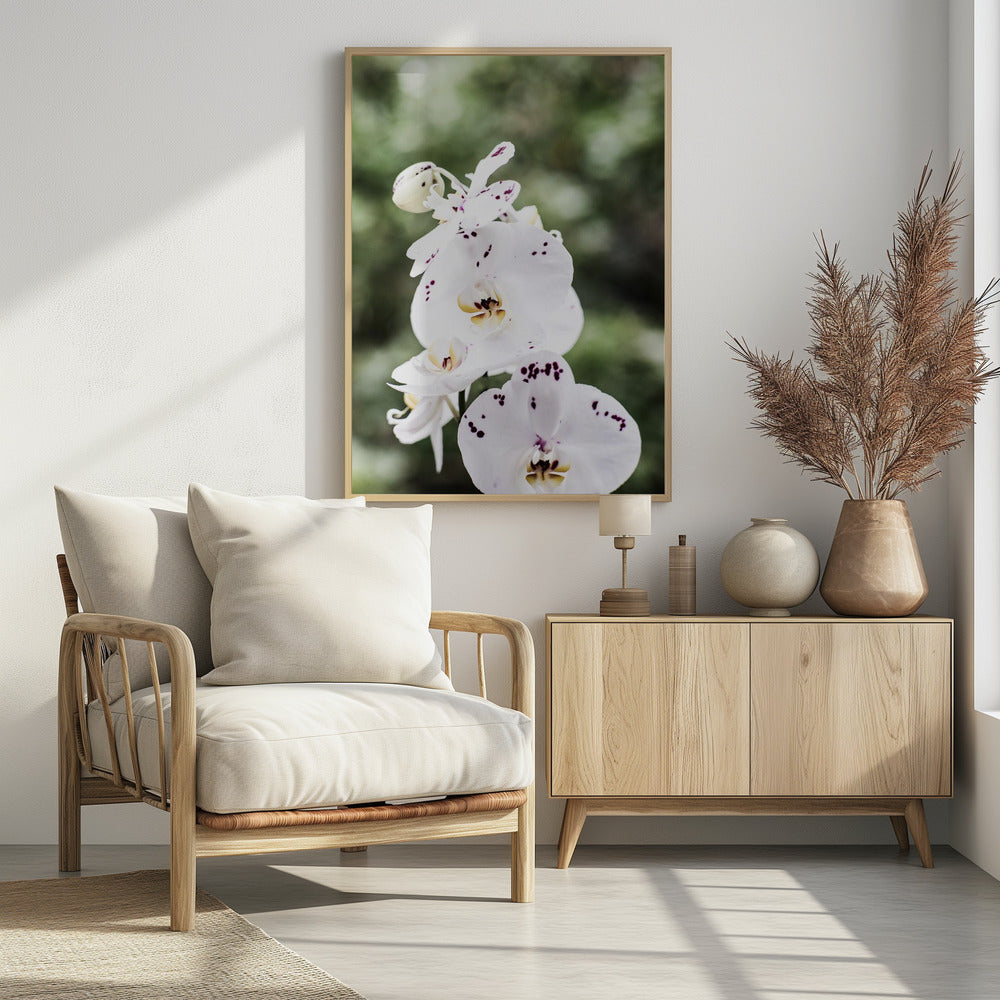 Spring Blooms | Poster