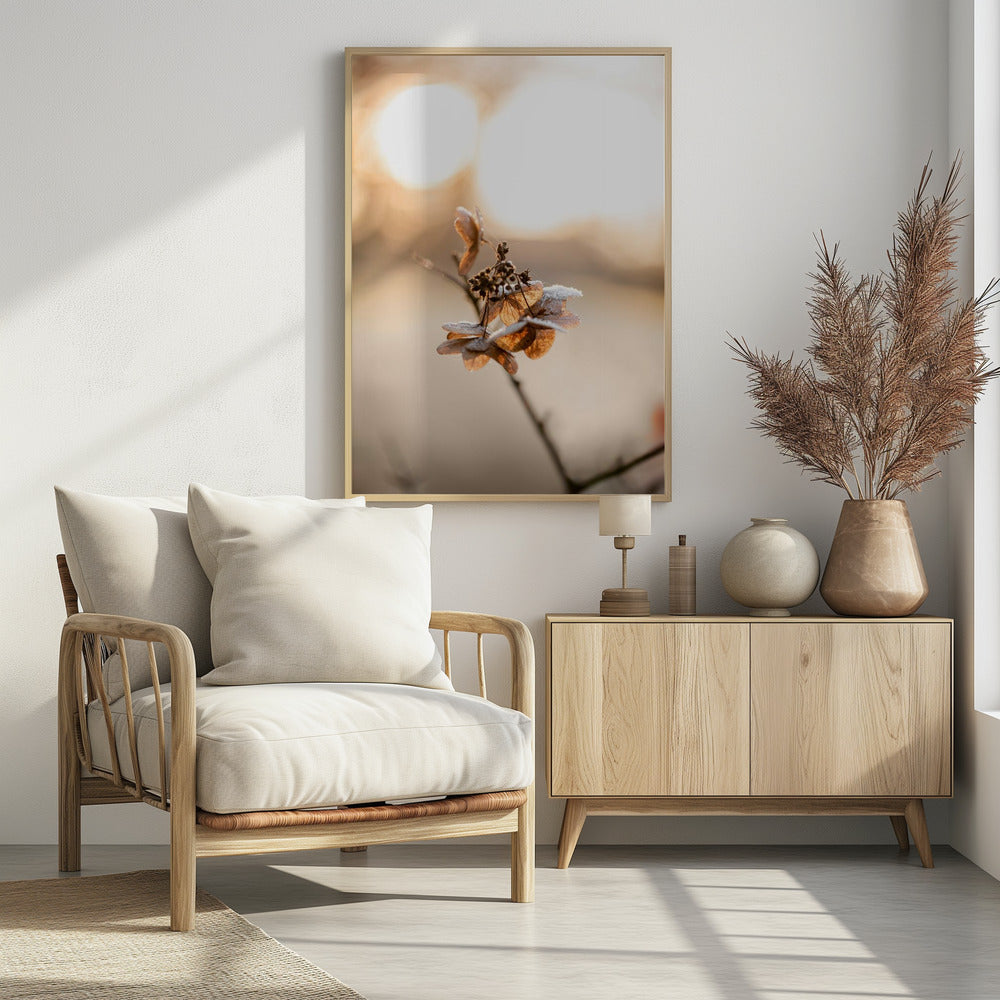 Hydrangea 4 | Poster