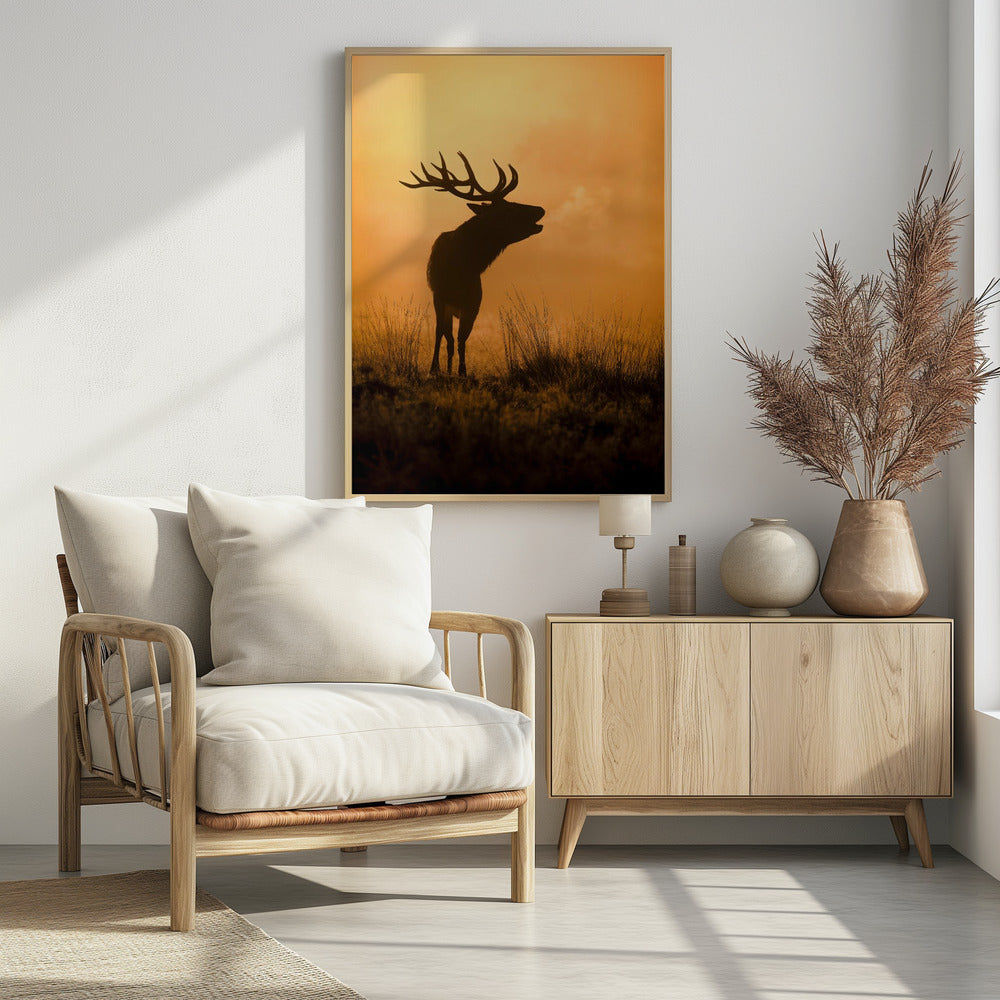 Morning call | Poster