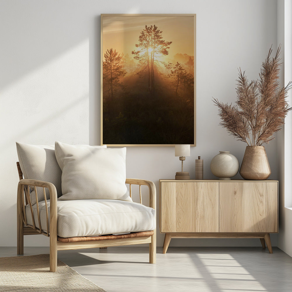 20220809 Dsf8009 Hdr 1 | Poster