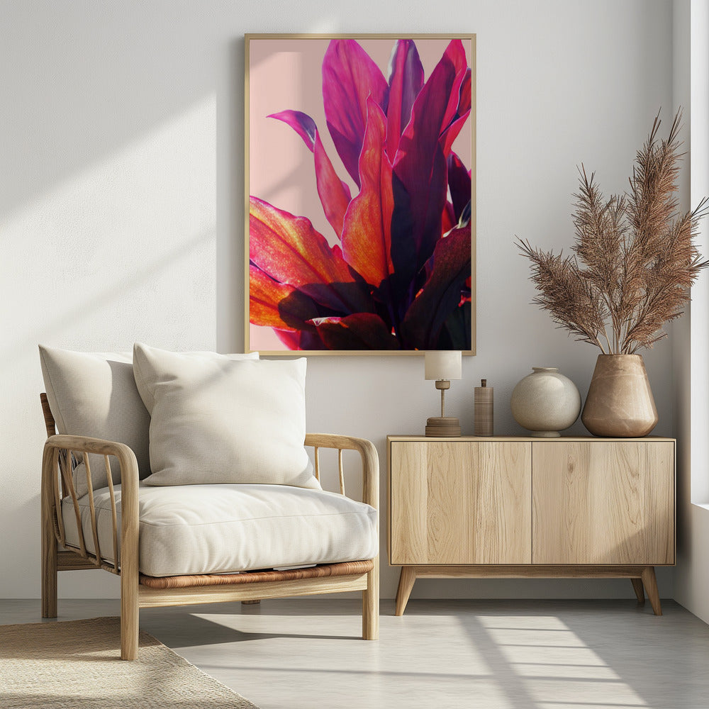 Fuchsia Leaves II | Poster