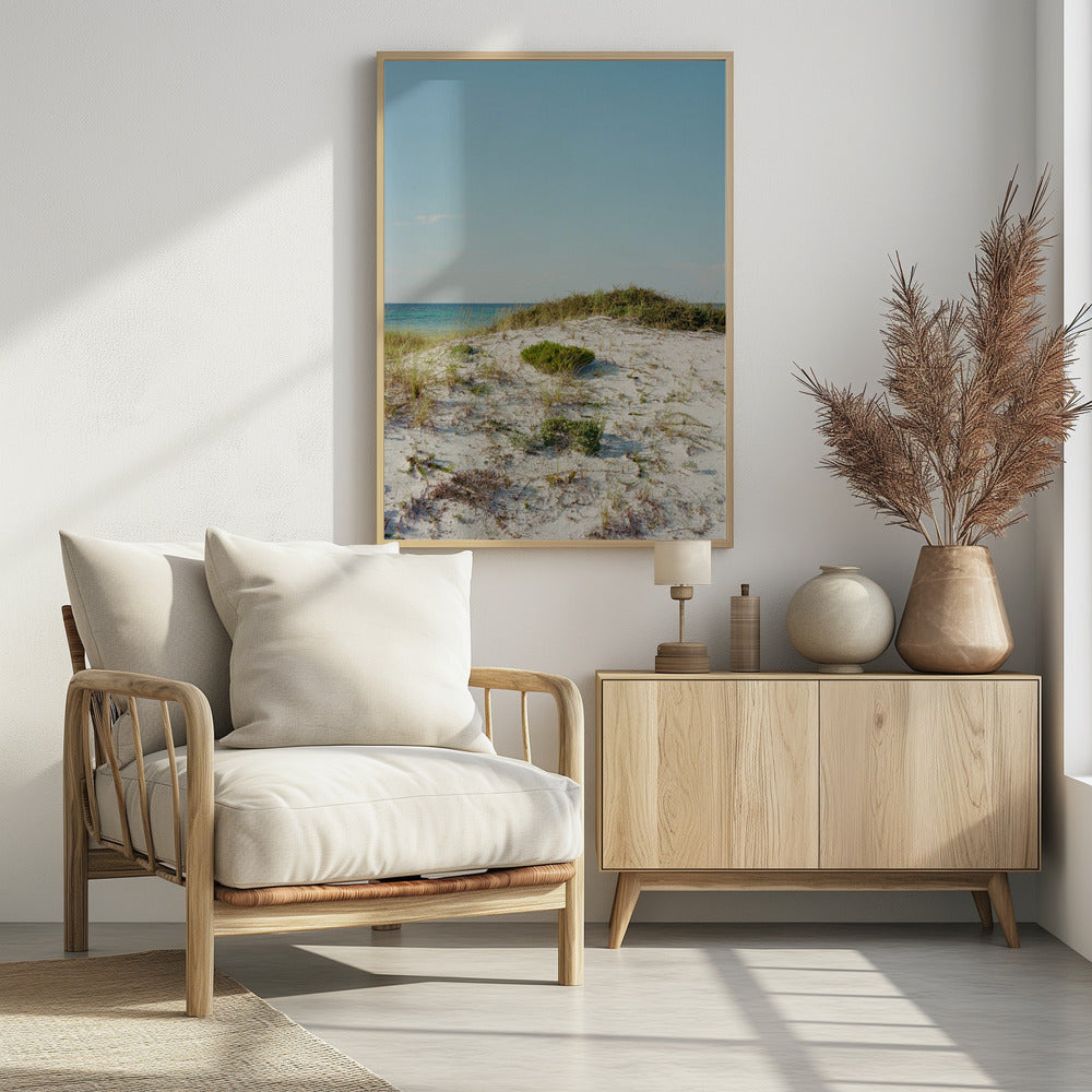 30a Dunes II | Poster