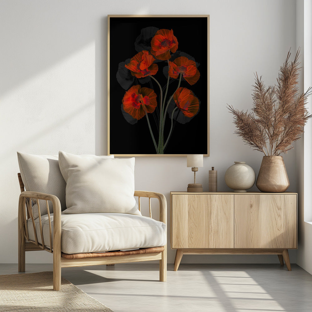Glaceful Red Poppy | Poster