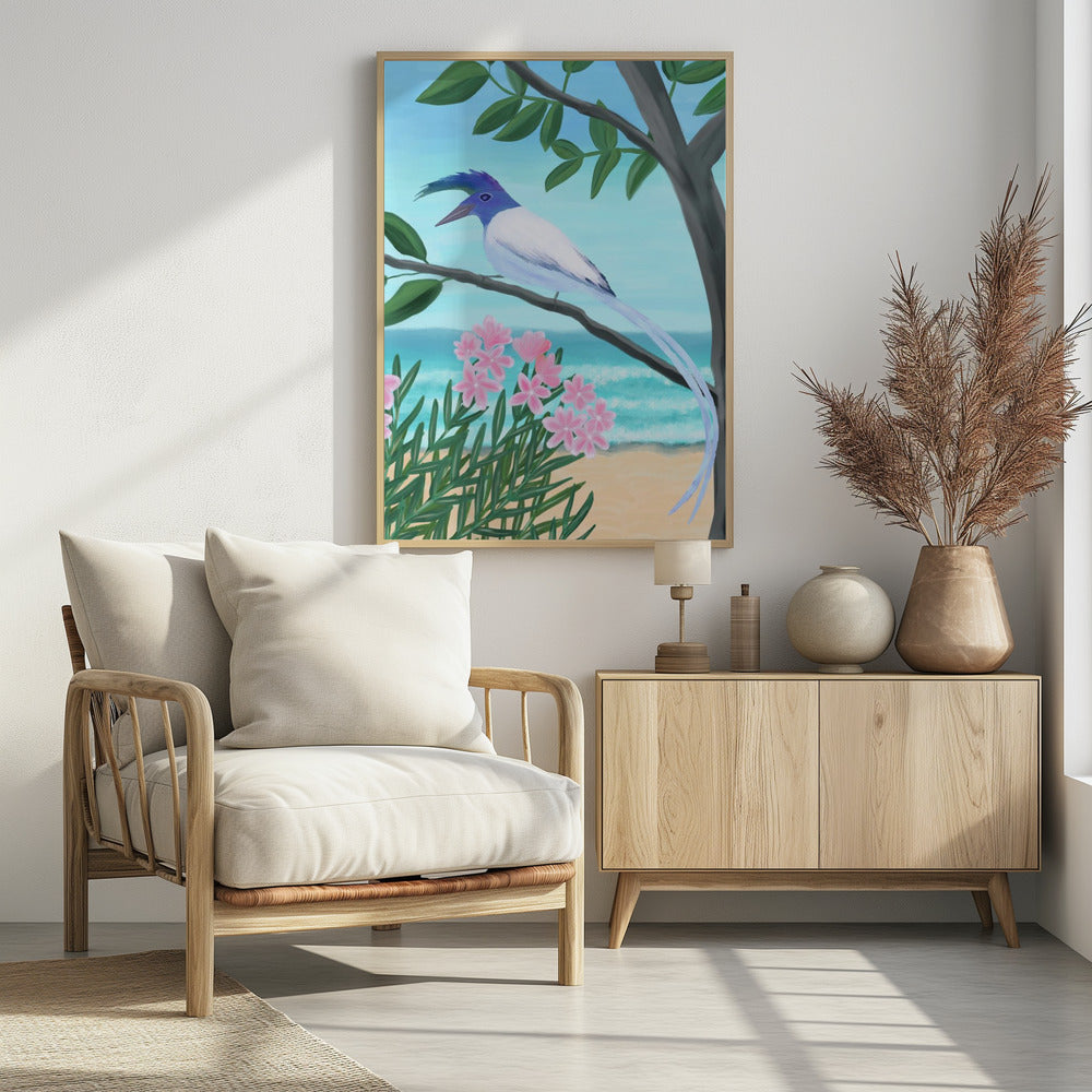 White-throated Magpie-Jay | Poster