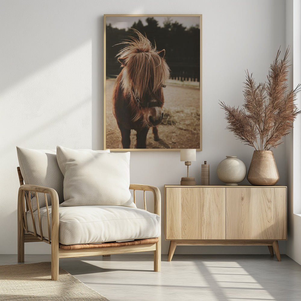 Pony with a Shaggy Mane | Poster