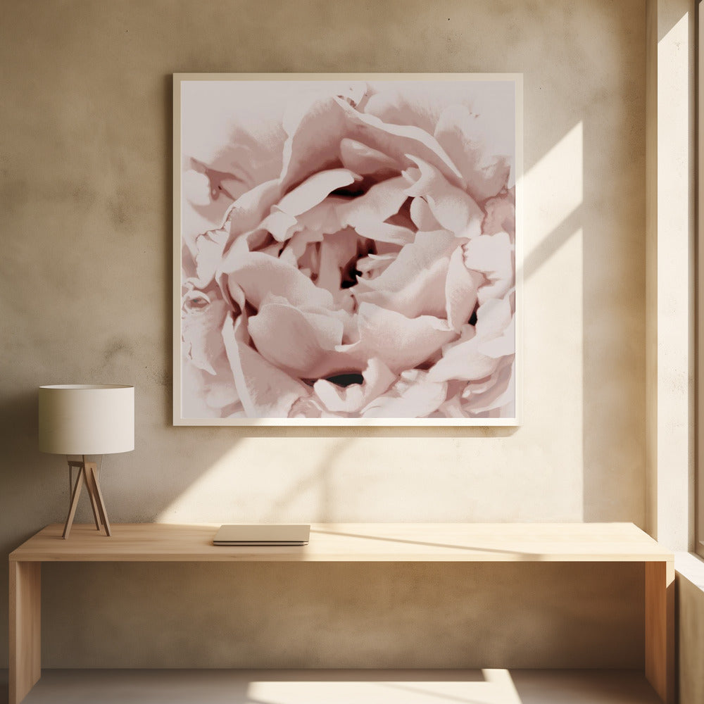 Delicate Peony Flower | Poster