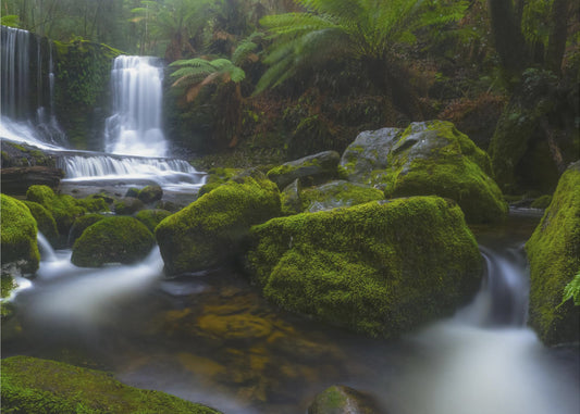 Hello Horseshoe | Wallpaper