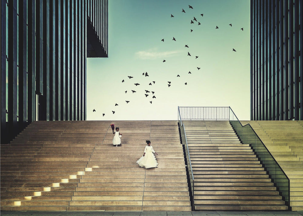 Free like a bird... | Canvas