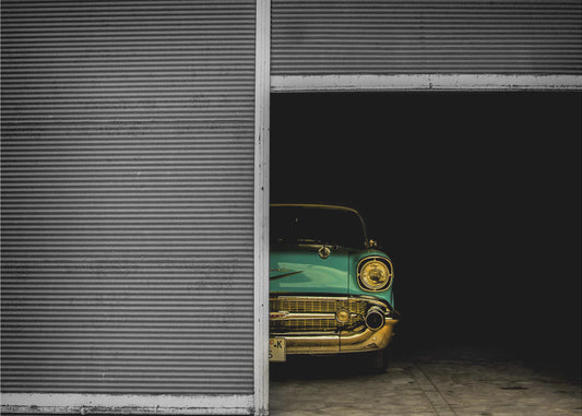 Hidden Beauty | Canvas