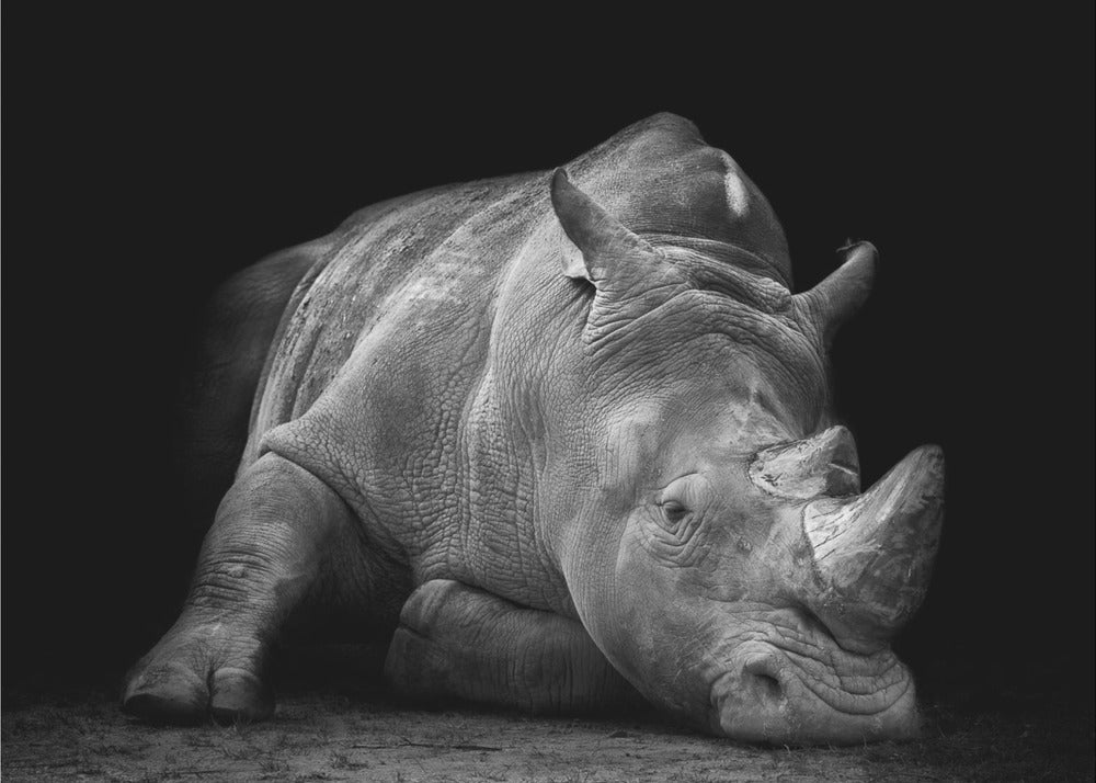 Defeated | Wallpaper