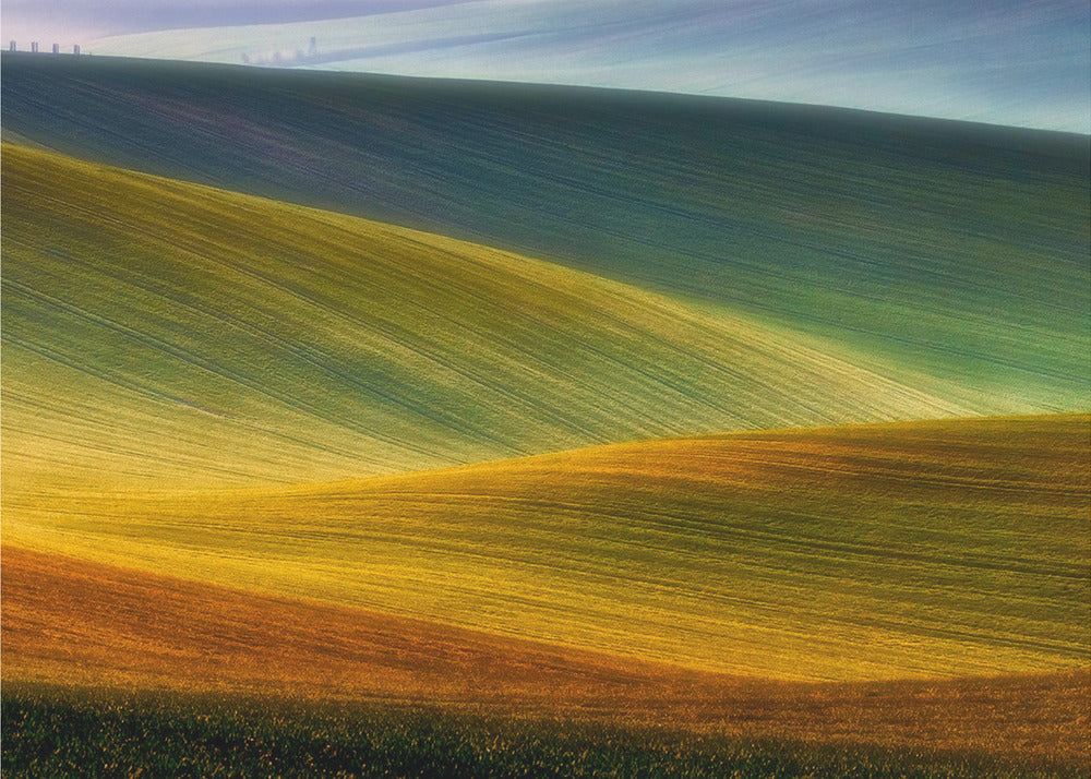 Spring fields | Poster