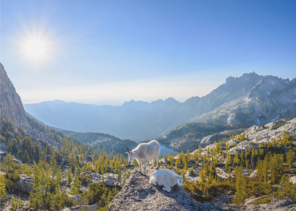Enchantment: Prusik Pass Panorama | Canvas