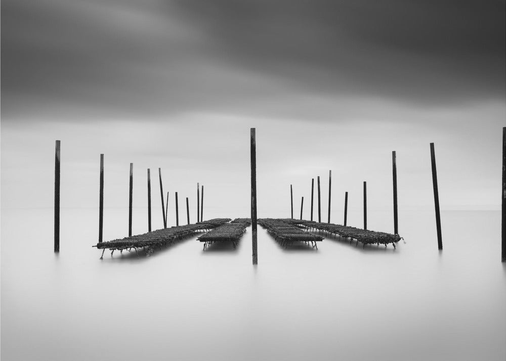 The Oyster Bar | Wallpaper