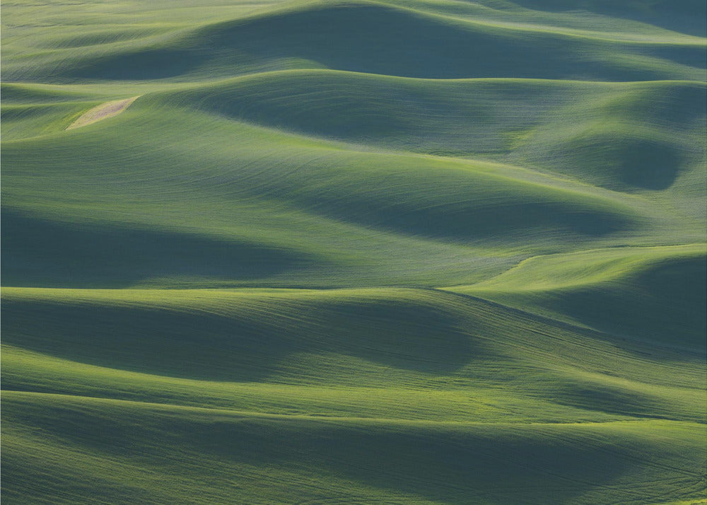 The Earth's Fine Skin | Canvas