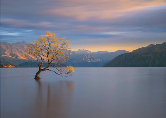 Morning Glow | Wallpaper