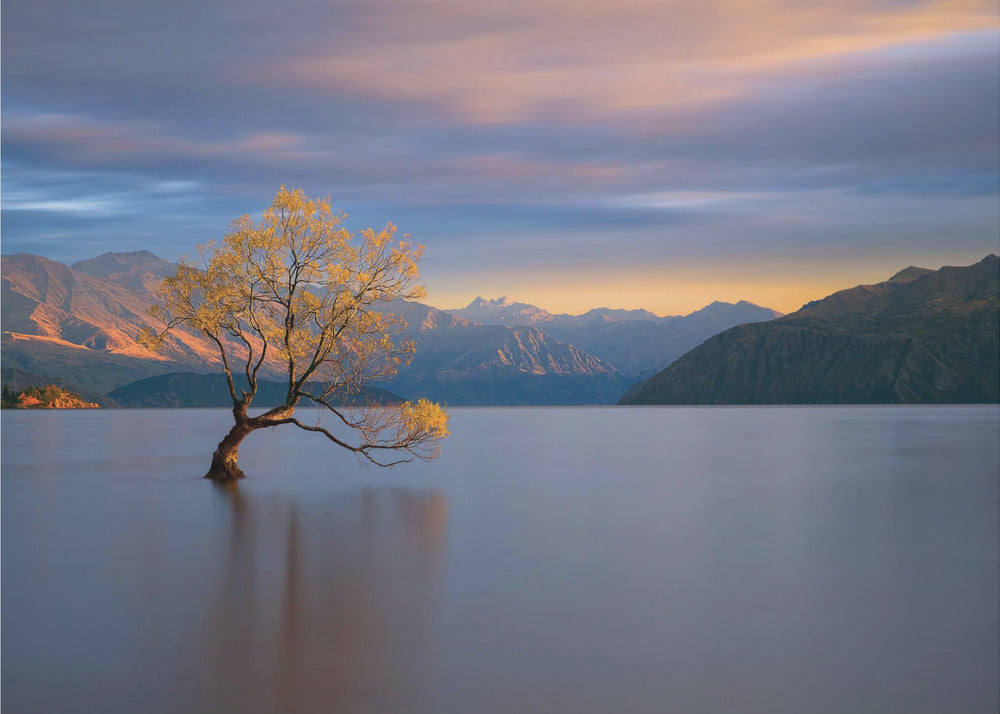 Morning Glow | Canvas