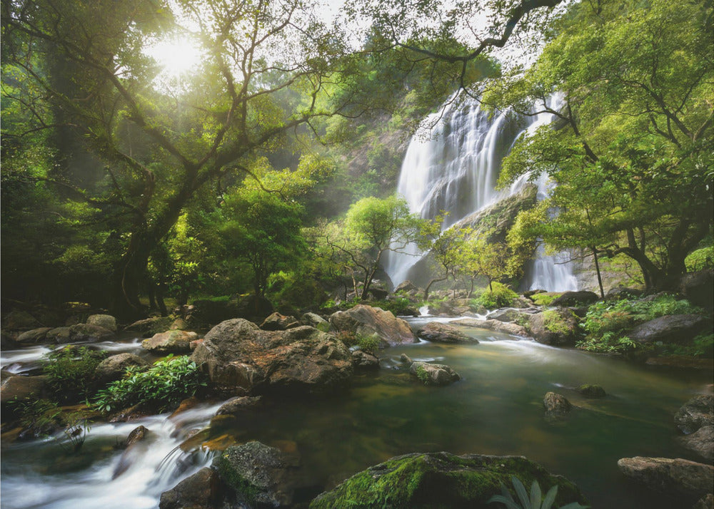 Mountain stream | Wallpaper