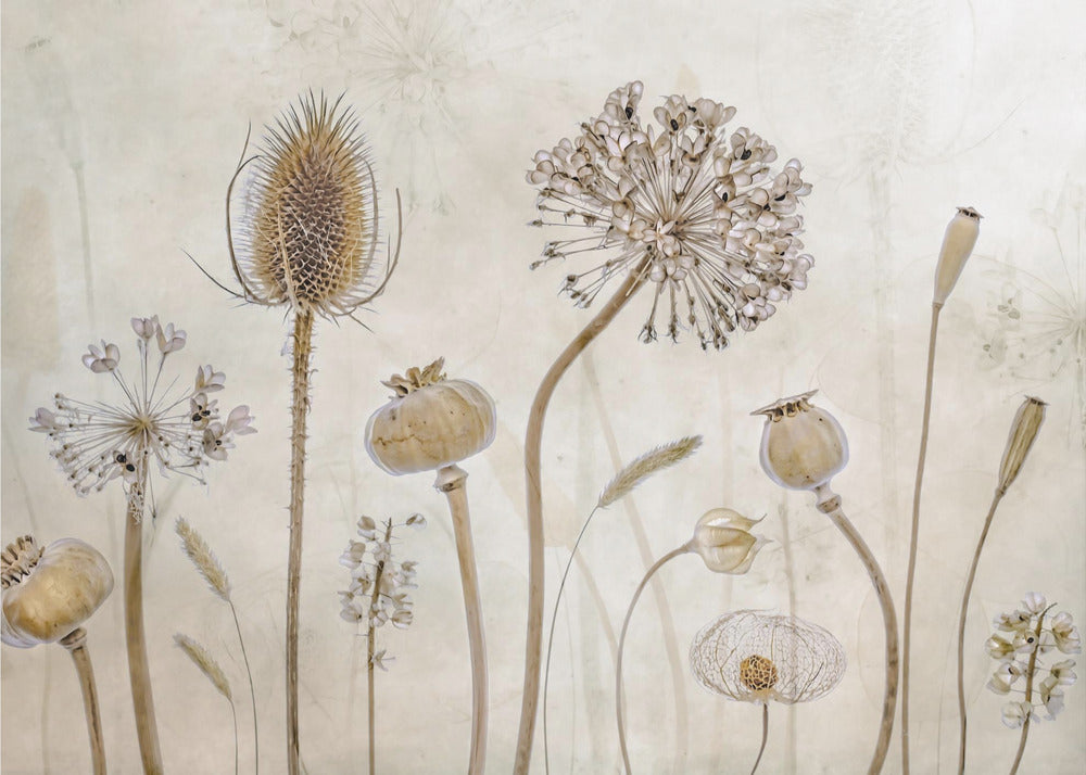 Growing old | Poster