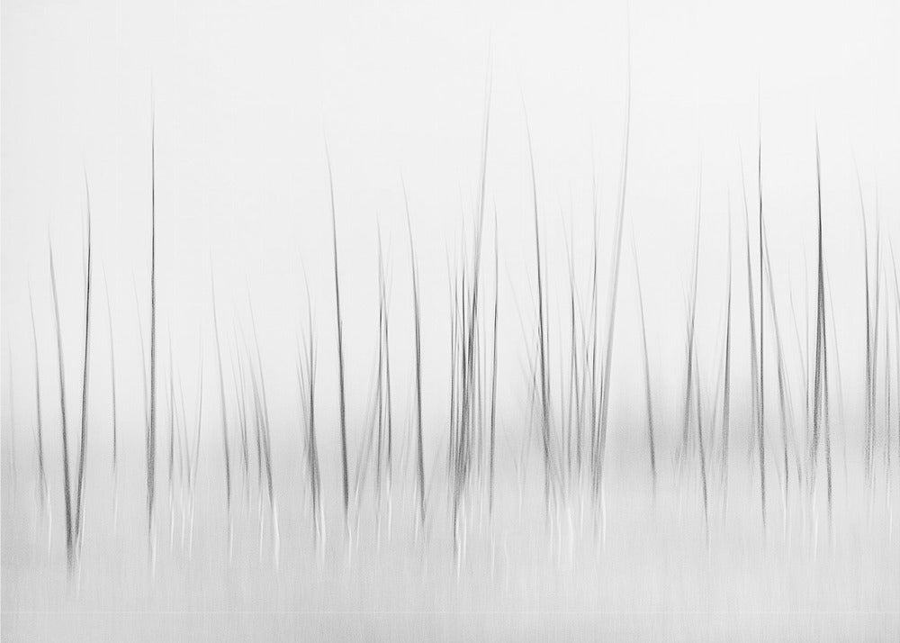 Wintry scenery in Yellowstone | Canvas