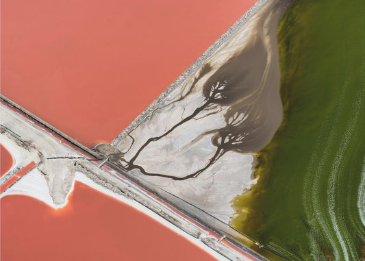 Nature's painting | Canvas