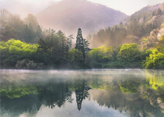 Morning calm | Canvas