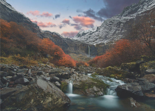 Throat of the earth | Poster