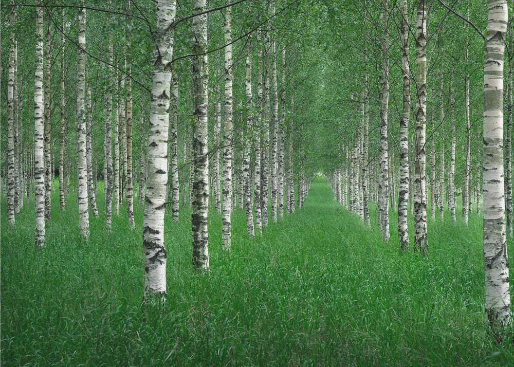 The tunnel | Wallpaper