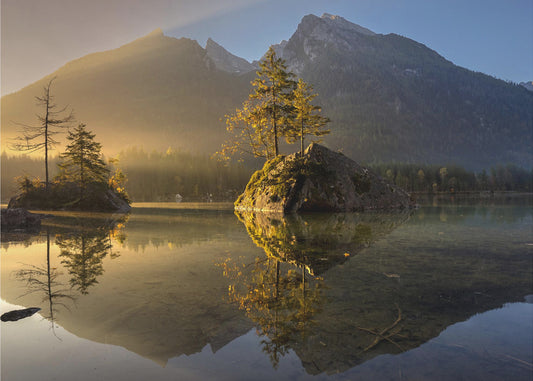 Golden Morning | Poster