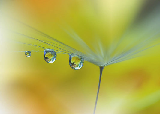 SunBeam...III | Canvas