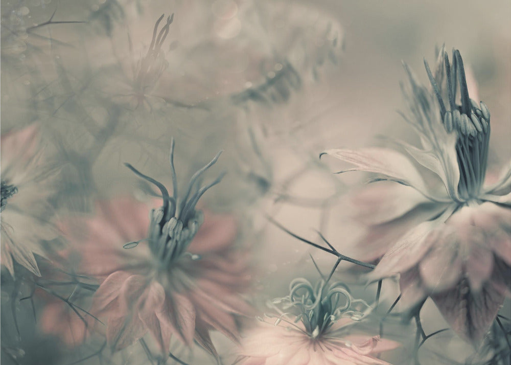 The virgins ll | Poster