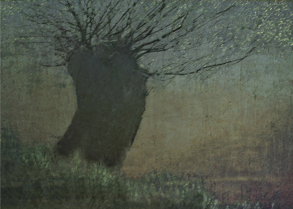 Willow on the waterfront | Canvas