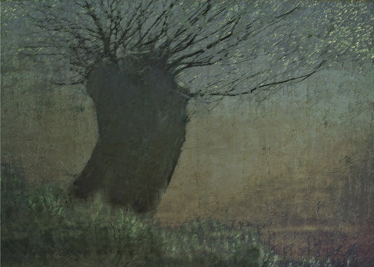 Willow on the waterfront | Canvas