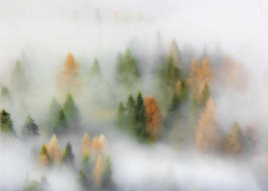 Autumn Dream | Poster