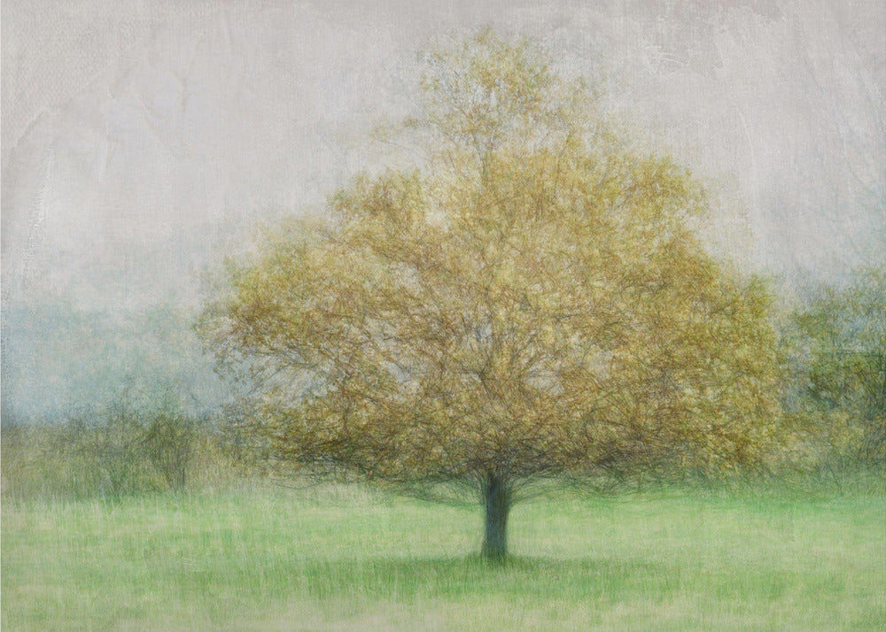 Solitaire | Wallpaper