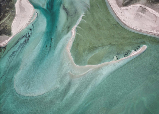 Sea Monster | Canvas