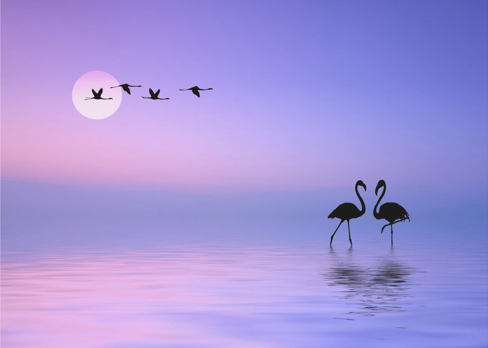 Flying Flamingo | Canvas