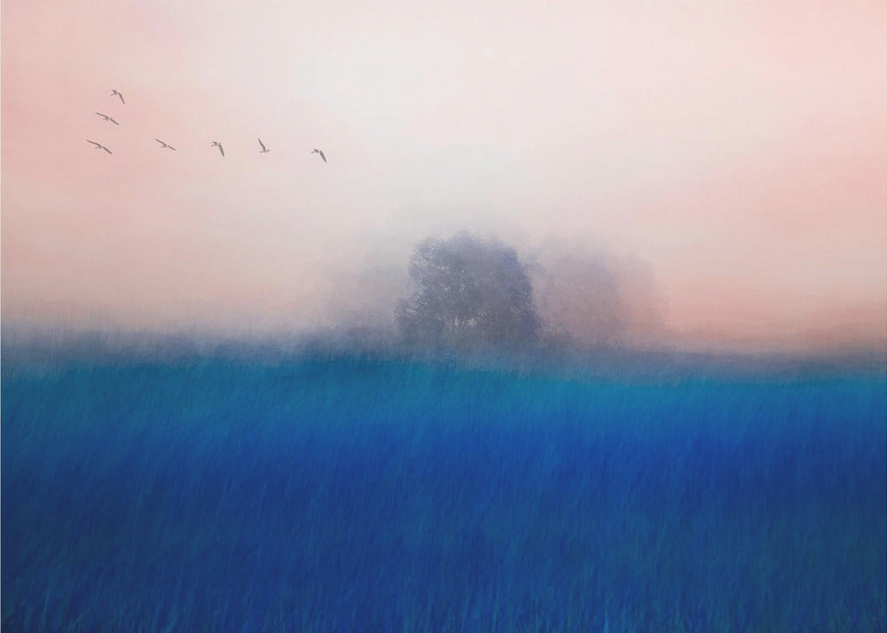 The Tree on the Blue | Wallpaper