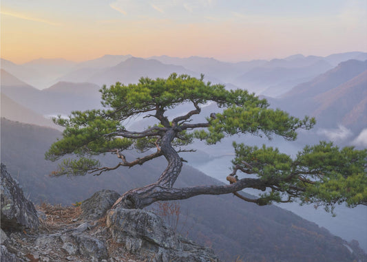 When the Day Breaks | Poster