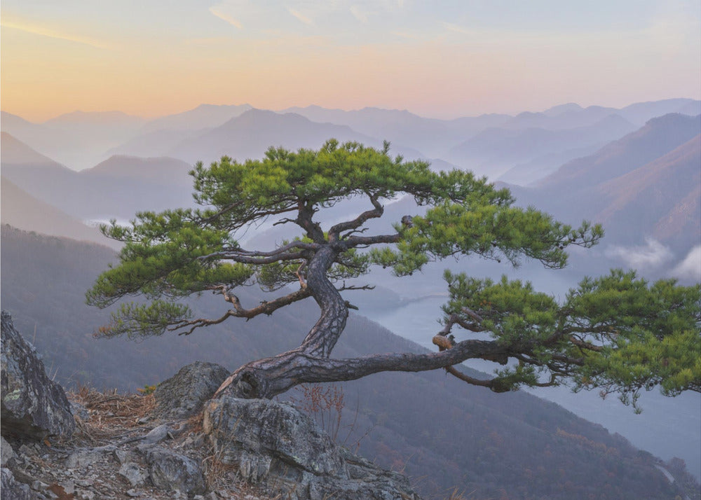 When the Day Breaks | Wallpaper