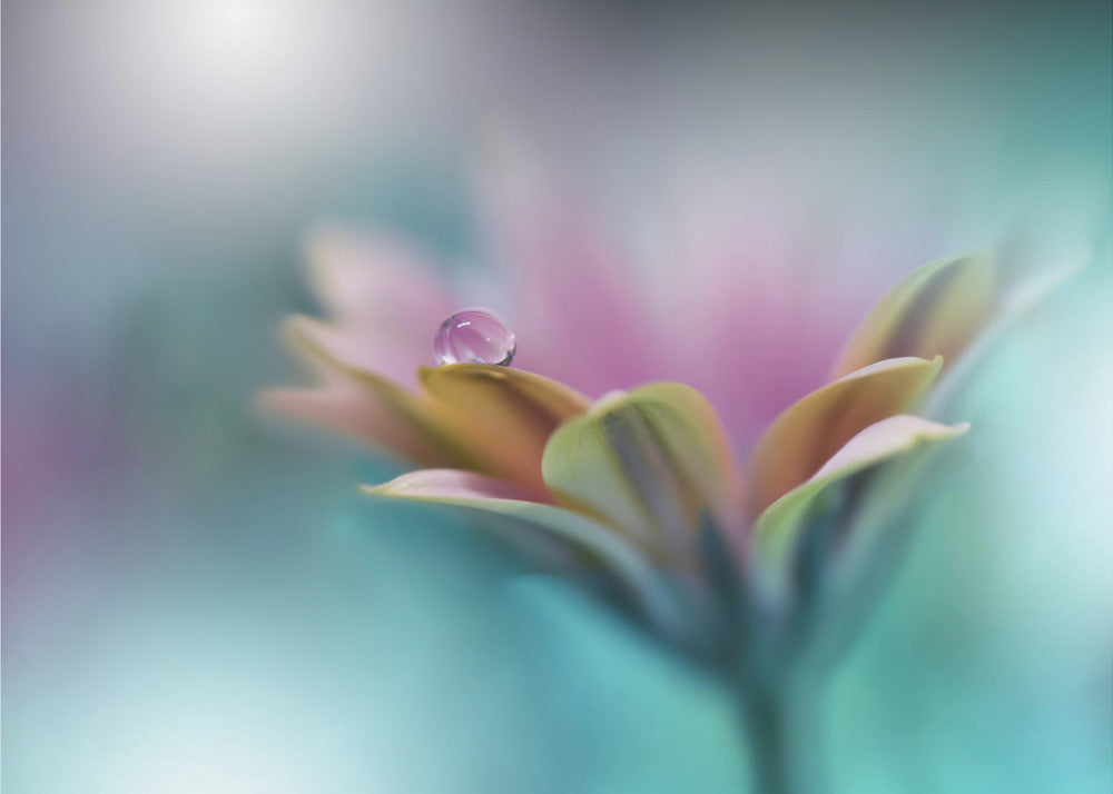 Memories of Sea.. | Canvas