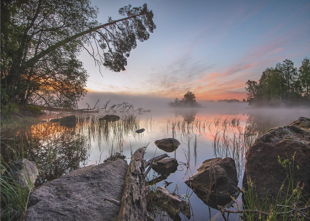 peaceful morning | Wallpaper