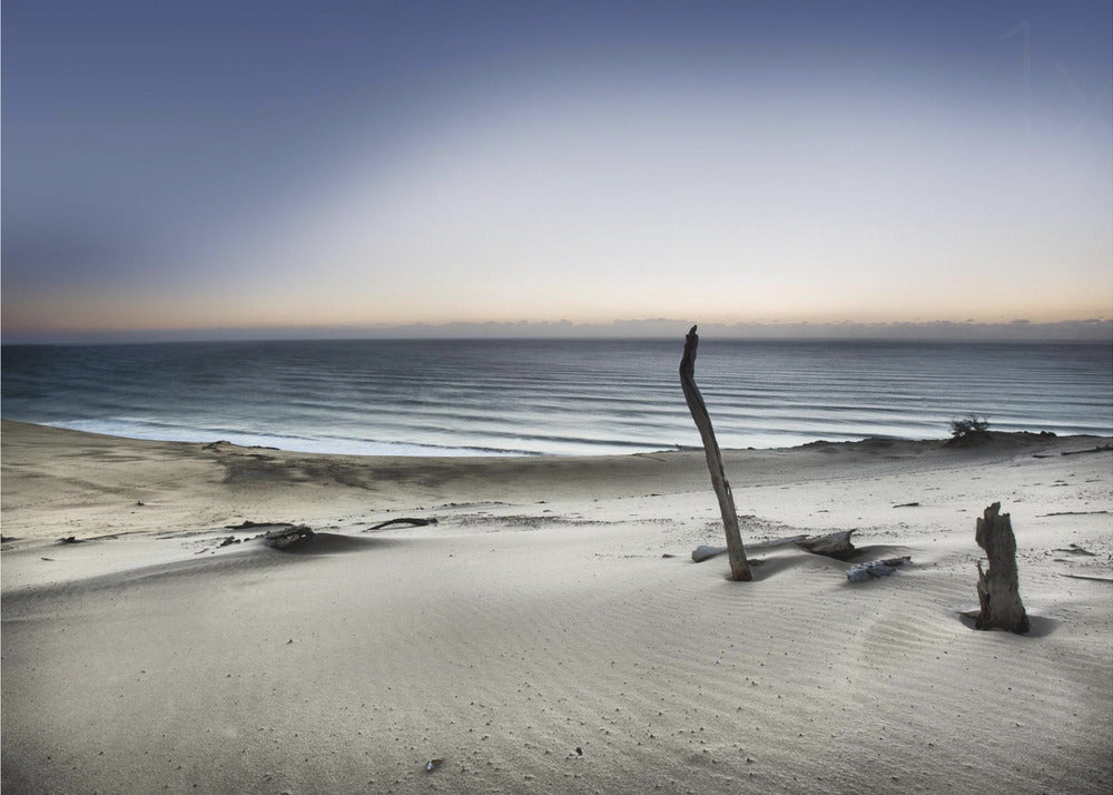 Reach for the sun | Canvas