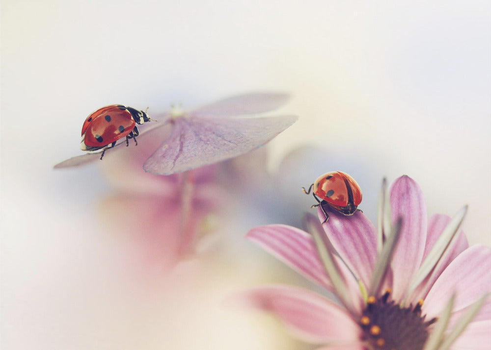 Last days of summer | Wallpaper