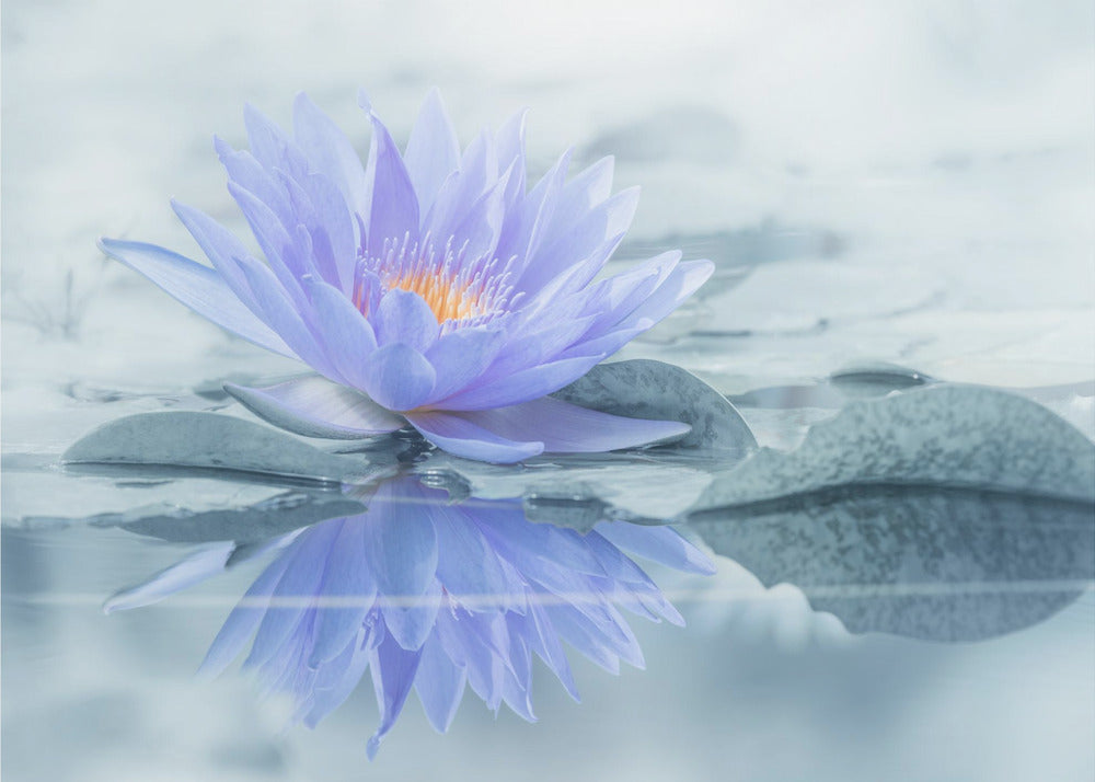 Reflection | Wallpaper