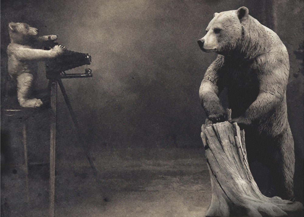 hold that | Wallpaper