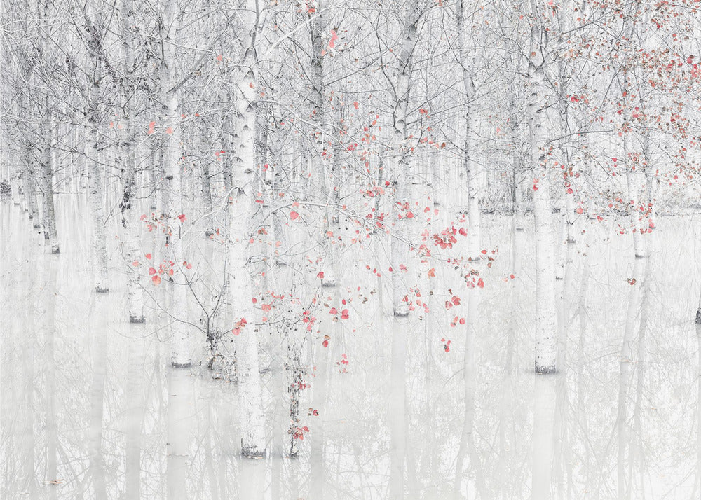 Red & white | Wallpaper