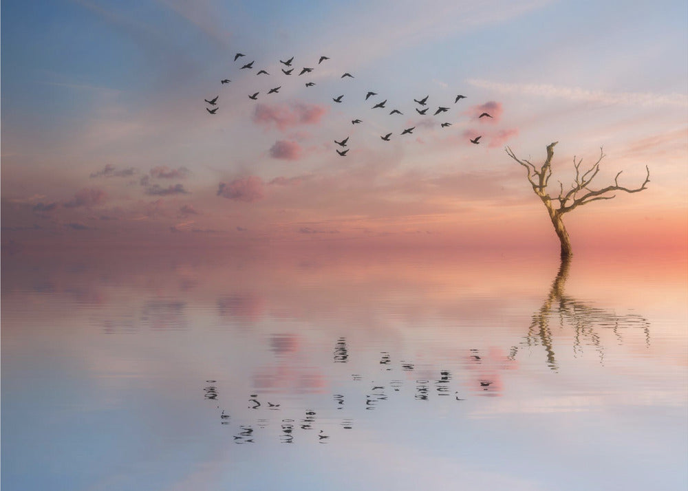 S.T. 006 | Wallpaper